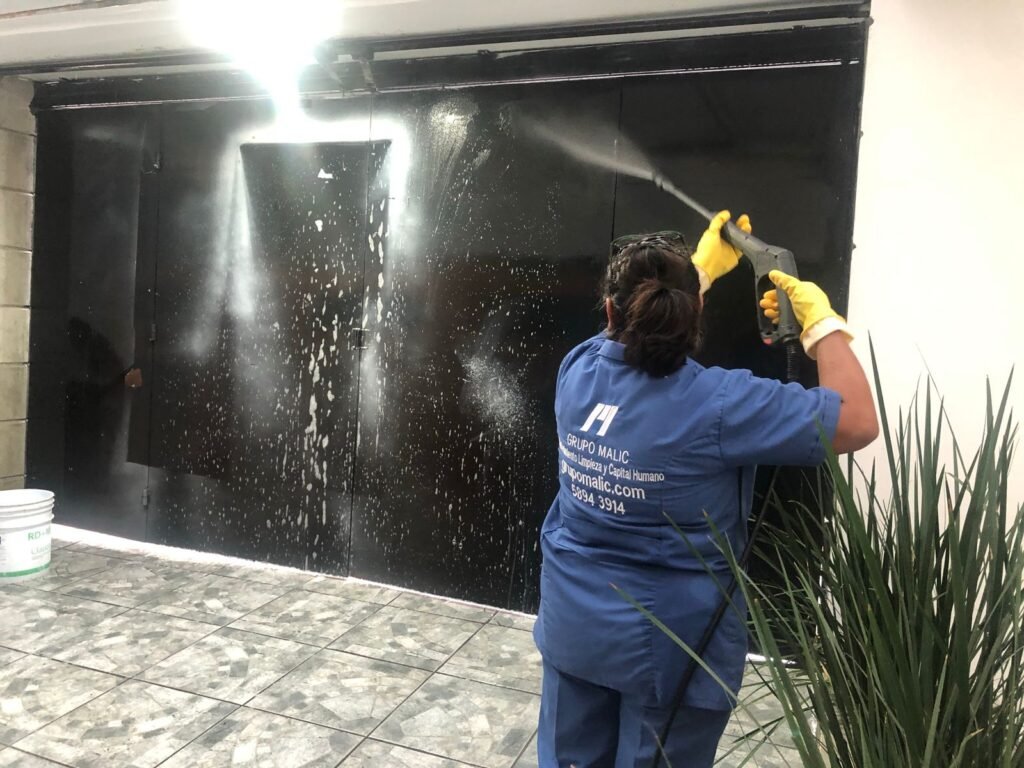 limpieza grupo malic