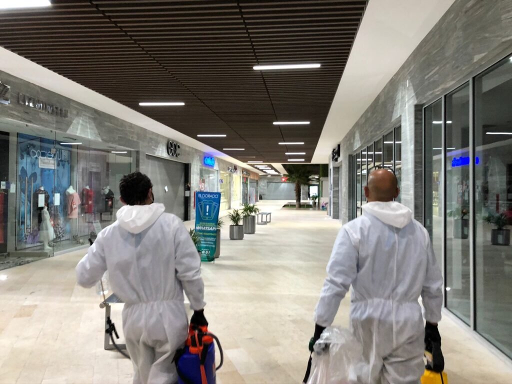 servicio de fumigacion profesional